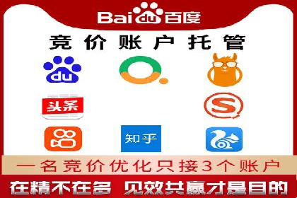 百度竞价推广案例：品牌崛起之路